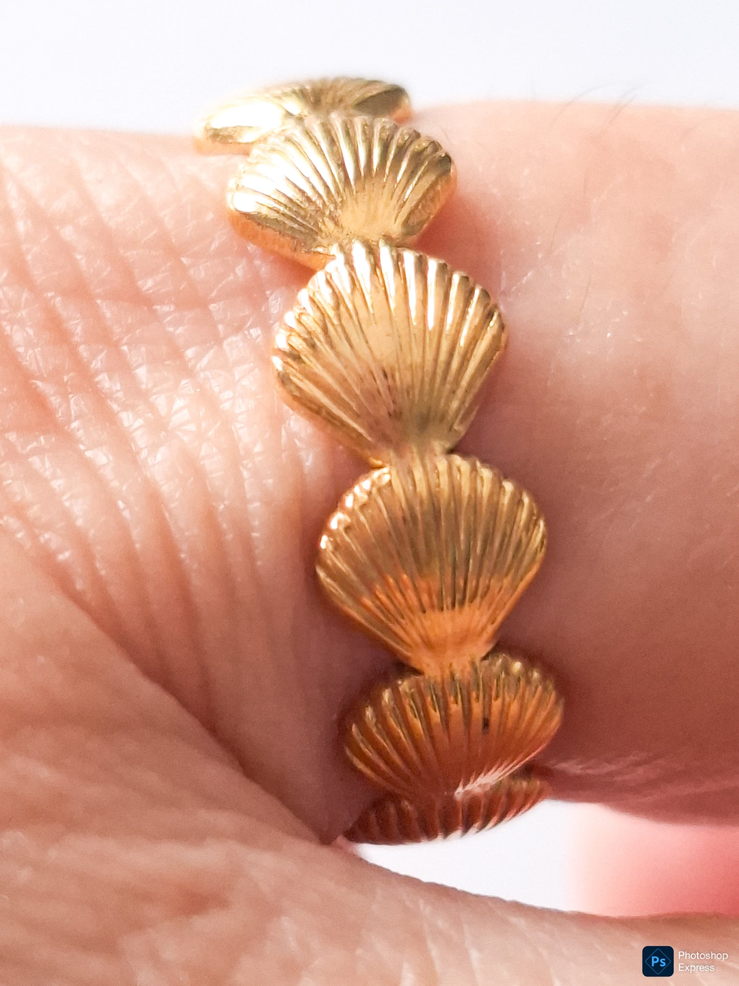 ANILLO CONCHAS