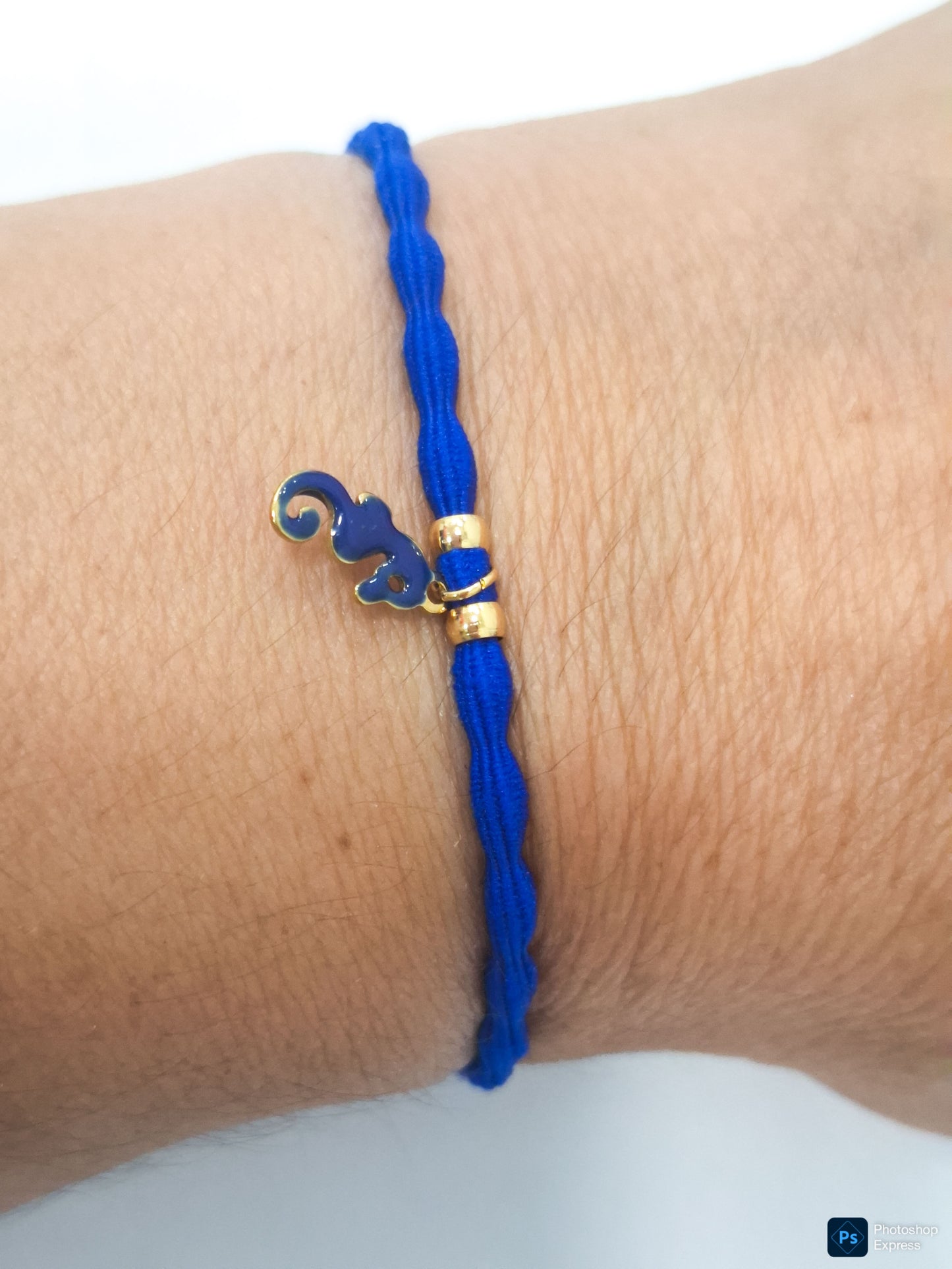 Pulsera CABALLITO MAR ESMALTADO y ACERO INOXIDABLE