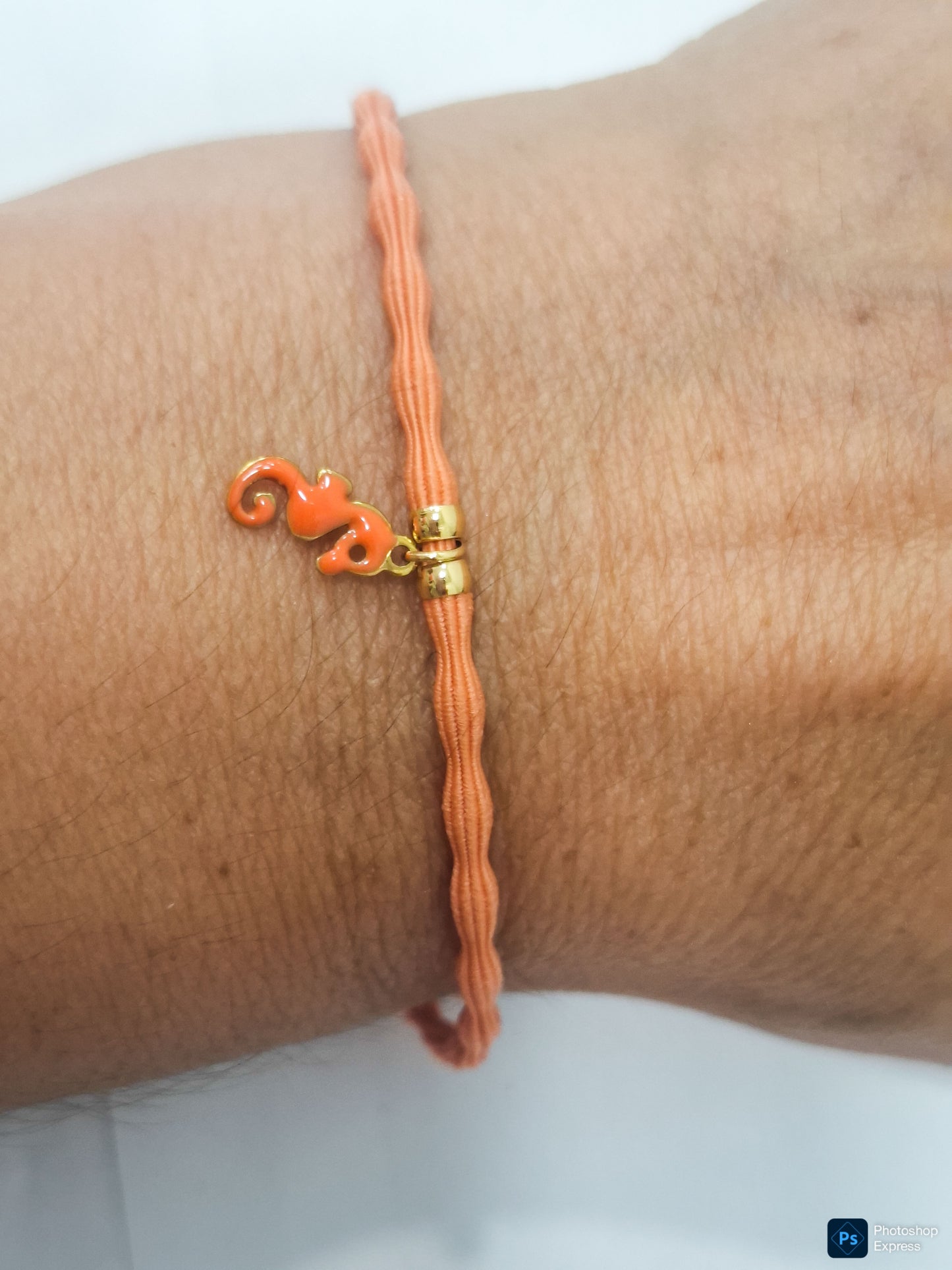 Pulsera CABALLITO MAR ESMALTADO y ACERO INOXIDABLE