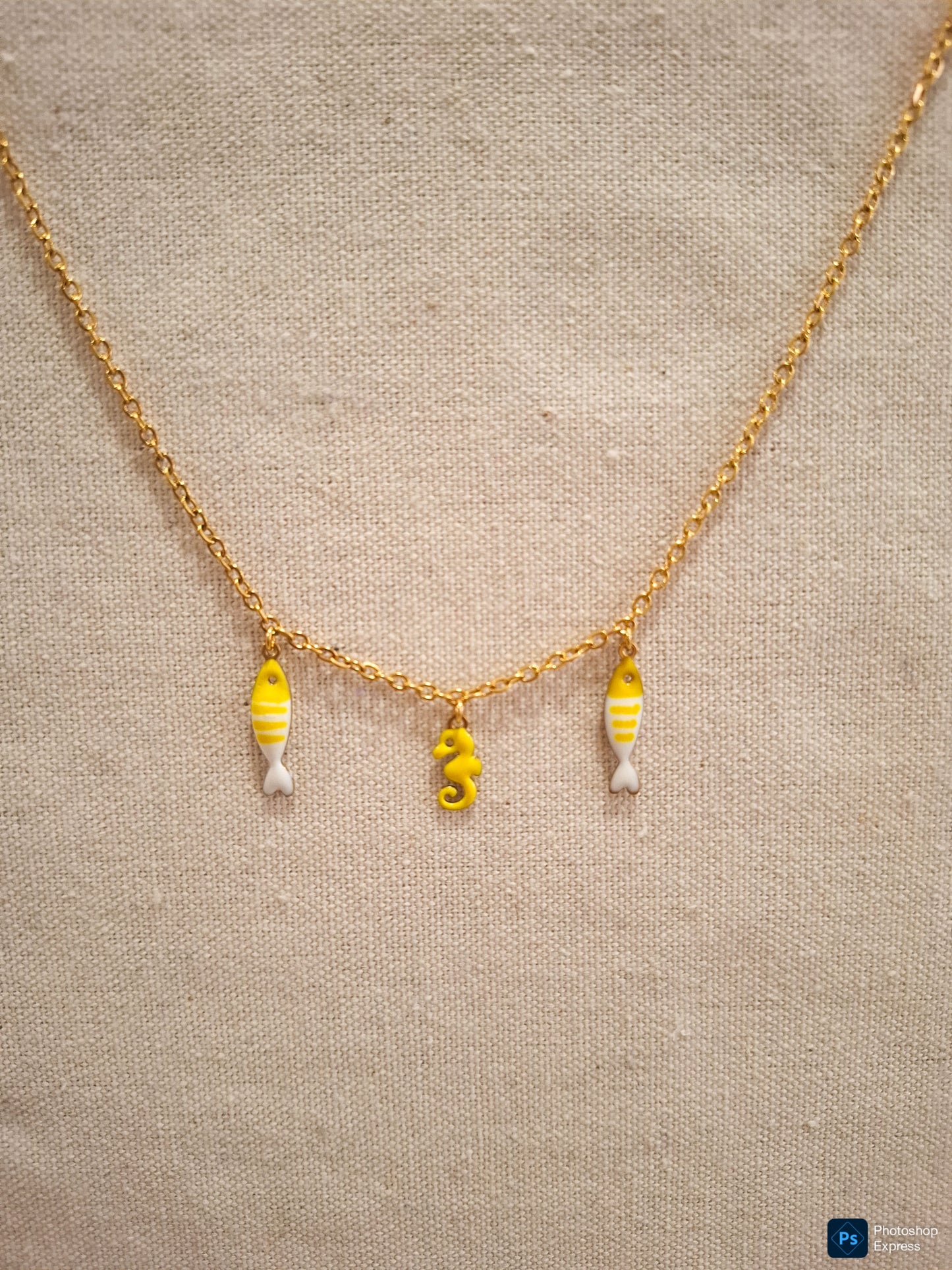 Collar acero PECES MOSTAZA