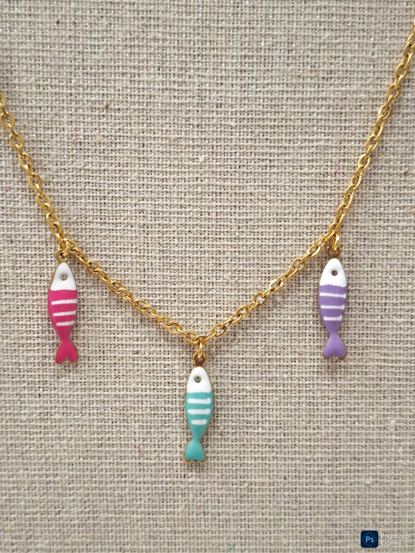 Collar acero PECES LIL