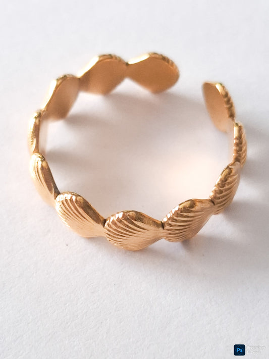 ANILLO CONCHAS