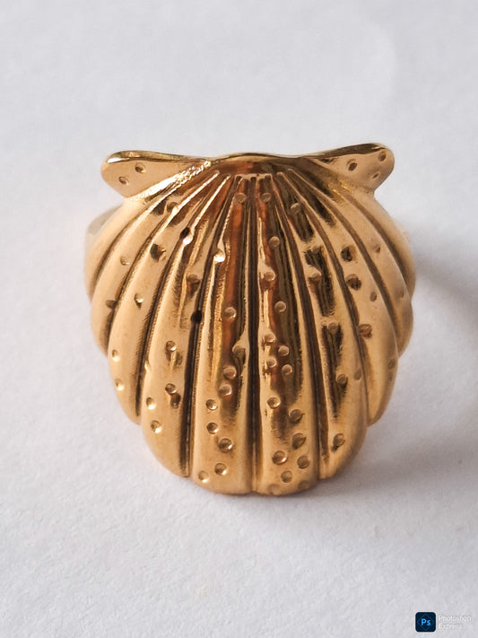 ANILLO CONCHA