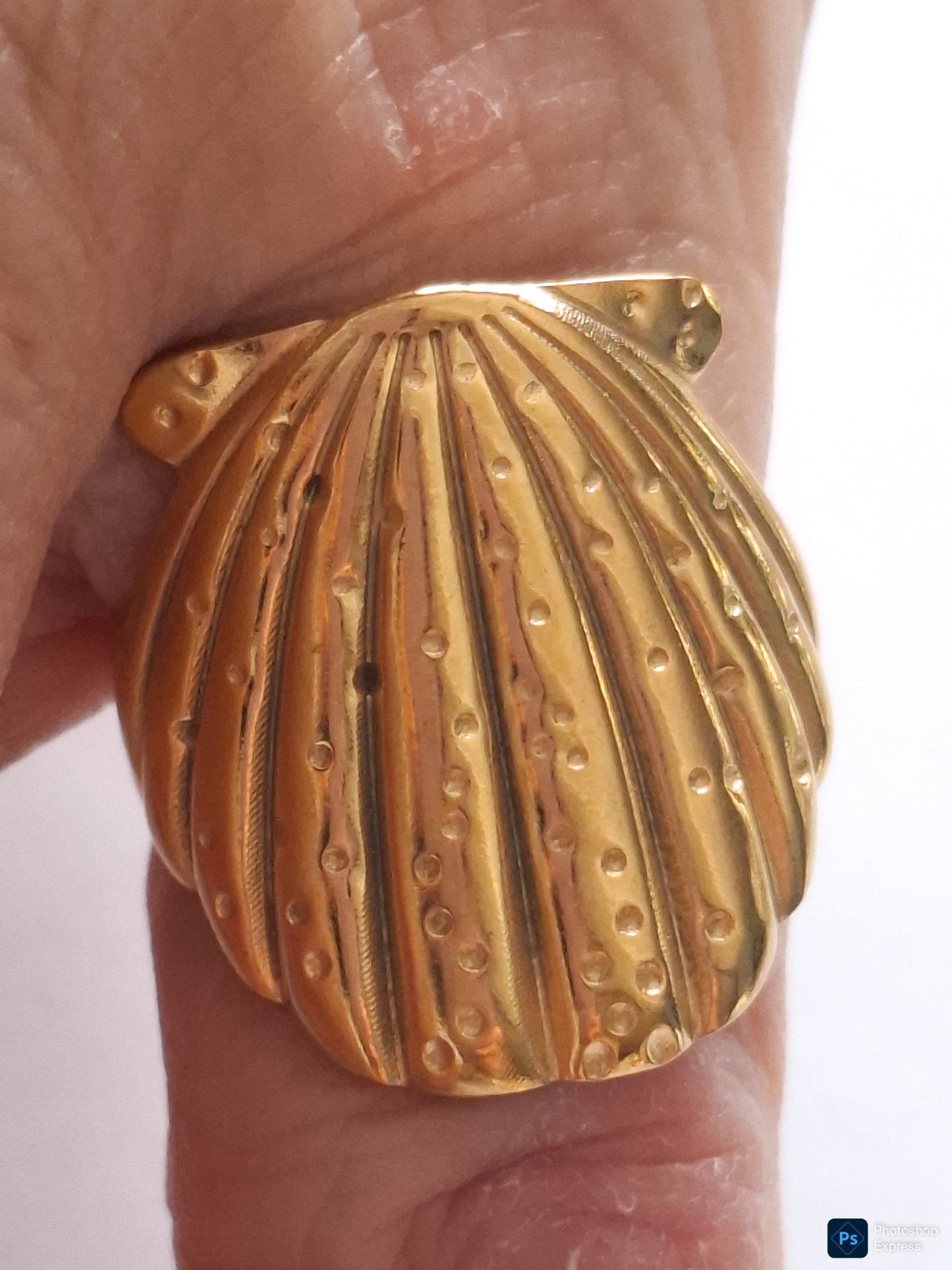 ANILLO CONCHA