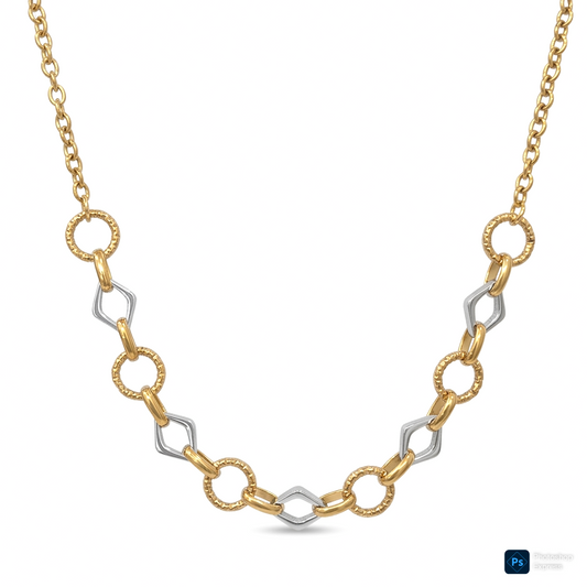 Collar ACERO BICOLOR